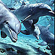 Dolphingirl480