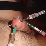 A selection of pictures of my pierced cock extreme piercing pics